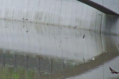 Прикрепленное изображение: ll04aaa.jpg